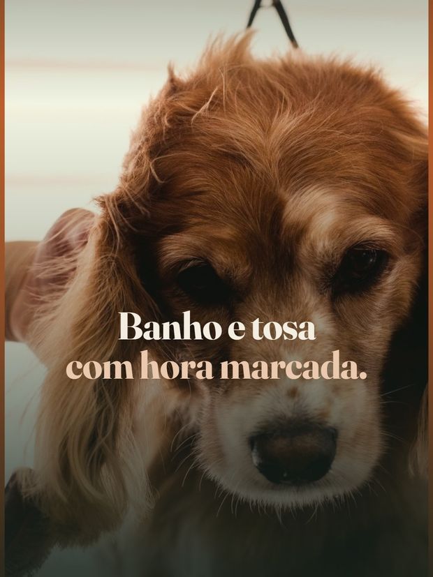Capa do reel