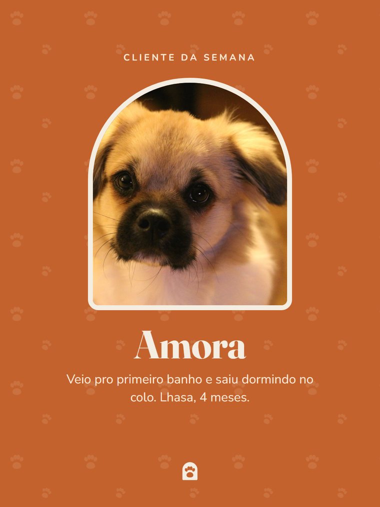 Peça de cliente da semana