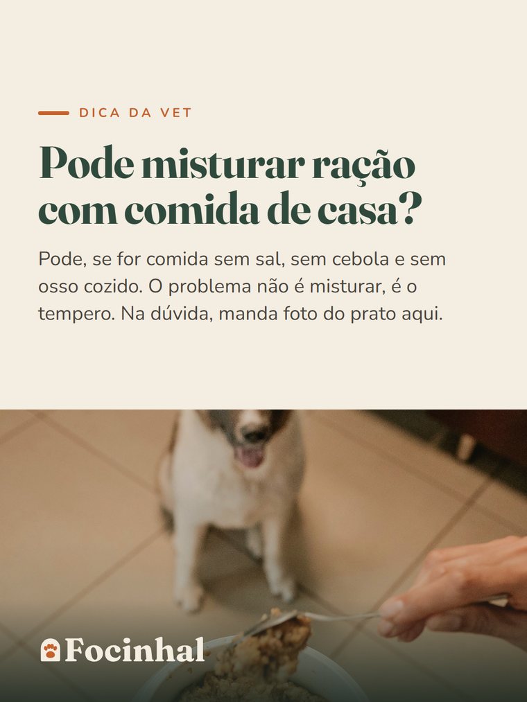 Dica 2