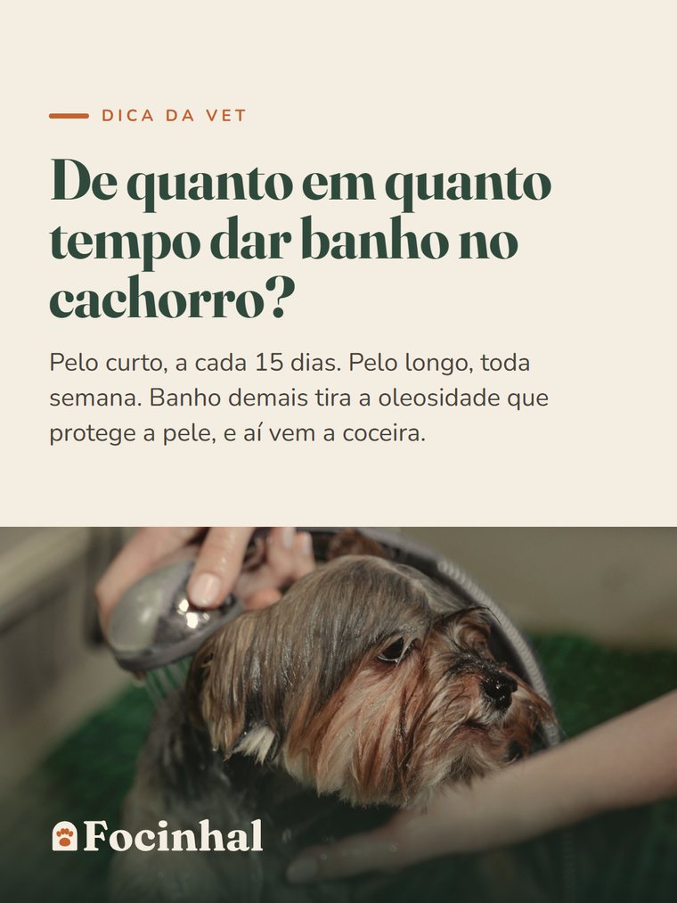 Peça de dica