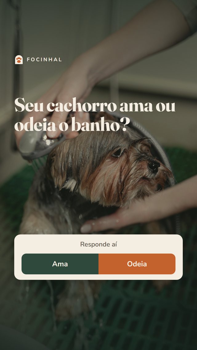 Story com enquete