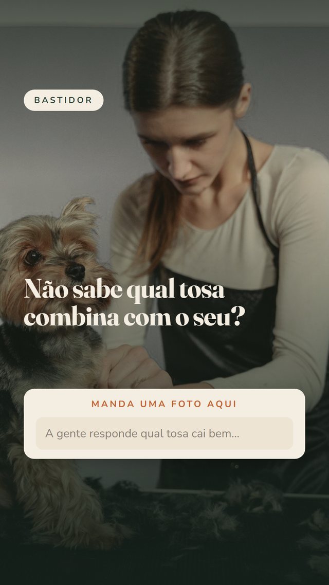 Story de bastidor